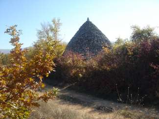 DSC07808.JPG